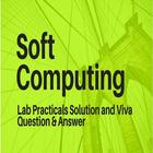 Soft Computing Practicals and Viva Questions آئیکن