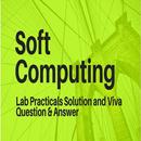 Soft Computing Practicals and Viva Questions APK