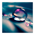 A9 Wallpapers