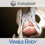 Pelvic Anatomy for Coloplast APK