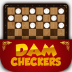 Dam Checkers