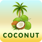 Coconut ไอคอน