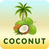 Coconut ícone