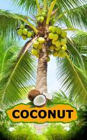 Coconut poster
