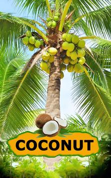 Coconut 海报