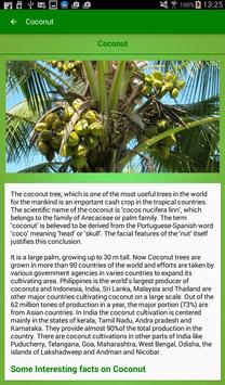 Coconut 截图 10