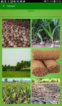Coconut 截图 8