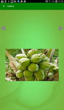 Coconut 截图 9