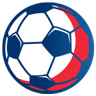 Eurocopa 2016 icono