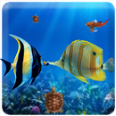 Fishing Ocean Festival APK