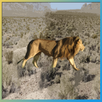 Pocket Battlefield APK