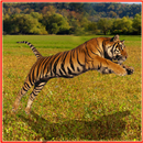 Tiger Hunter APK