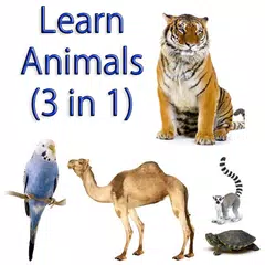 Learn Animal names (3 in 1)