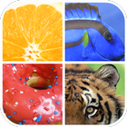 Guess The Word : Close Up Pict icon