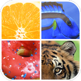 Guess The Word : Close Up Pict APK
