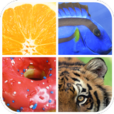 Guess The Word : Close Up Pict icon