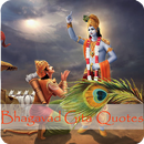 APK Bhagavad Gita Quotes in Hindi