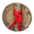 Arborist Knots icon