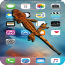 Gecko On Screen APK