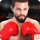Boxing Punch Fighting APK