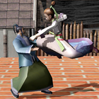 Karate Fighter - Taekwondo Kung fu Tiger Combat 3D Zeichen