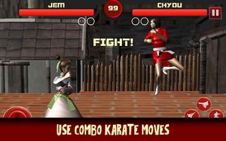 Karate Fighter - Taekwondo Kung fu Tiger Combat 3D Plakat
