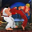 Taekwondo Karate Fighting - Tiger Kung fu Warrior