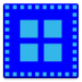 vector particles