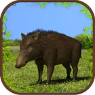 Extreme Wild Boar Simulator 3D icône