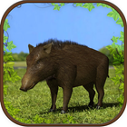 Extreme Wild Boar Simulator 3D آئیکن