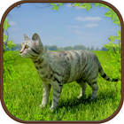 Extreme Kitten Cat Simulator icono