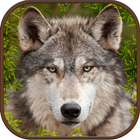 Extreme Wild Wolf Simulator 3d 图标