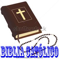 Bible Catolico New Plakat