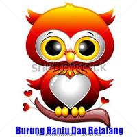 Cerita Burung Hantu & Belalang Affiche