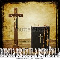 Biblia De Halba Espanola Poster