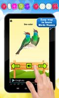 Birds Book Ekran Görüntüsü 3
