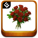Flowers Book APK