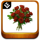 Flowers Book icon
