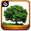 Trees Book APK