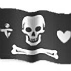 Pirate Meter Free icône