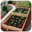 Vegetable Garden Ideas