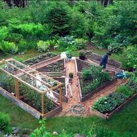 VegetableGardenIdeas 스크린샷 3