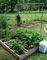 Vegetable Garden Ideas اسکرین شاٹ 3