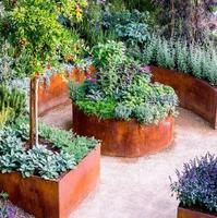 vegetable garden ideas gönderen