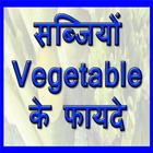 Vegetable ke Faayde आइकन