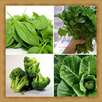 New Green Vegetables Onet Game APK