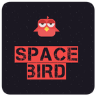 Space Bird icône