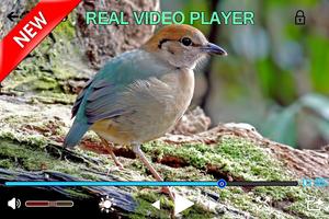 1 Schermata vedio real player HD