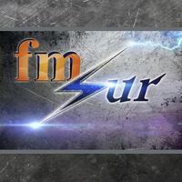 Fm Sur 94.9 Mhz - Corrientes 海报