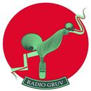 Radio Gruv - Música de Culto APK